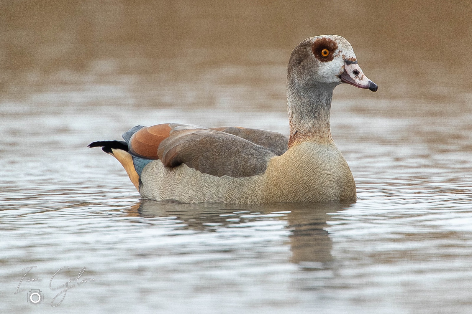 05 april 2022 154927 1DX47933